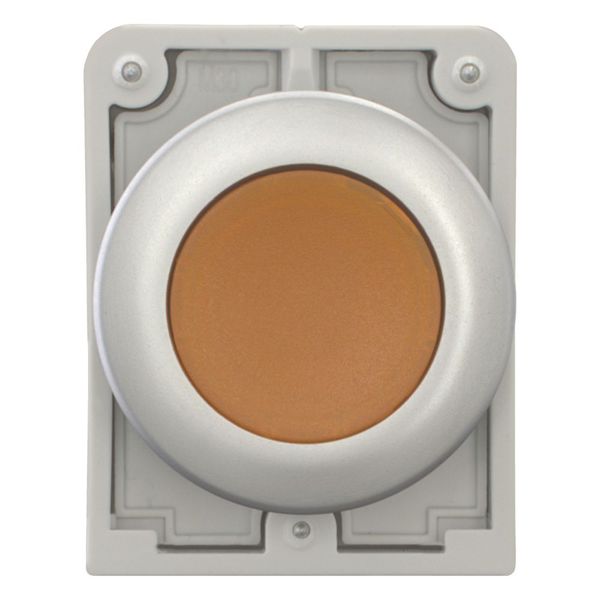 Illuminated pushbutton actuator, RMQ-Titan, Flat, maintained, orange, Blank, Metal bezel image 10