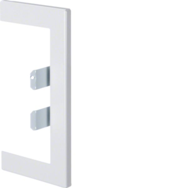 Wall cover plate BRP/BRHP/BRAP 65x130 tw image 1