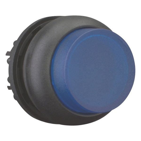 Illuminated pushbutton actuator, RMQ-Titan, Extended, maintained, Blue, Blank, Bezel: black image 6