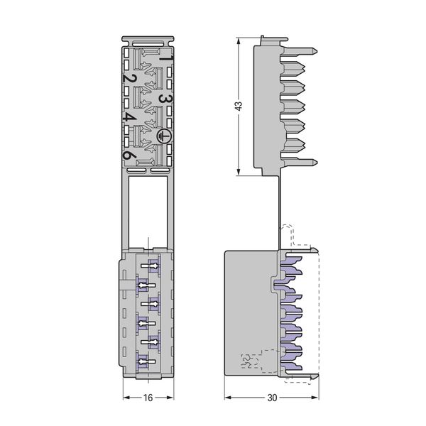 Socket 6-pole gray image 3