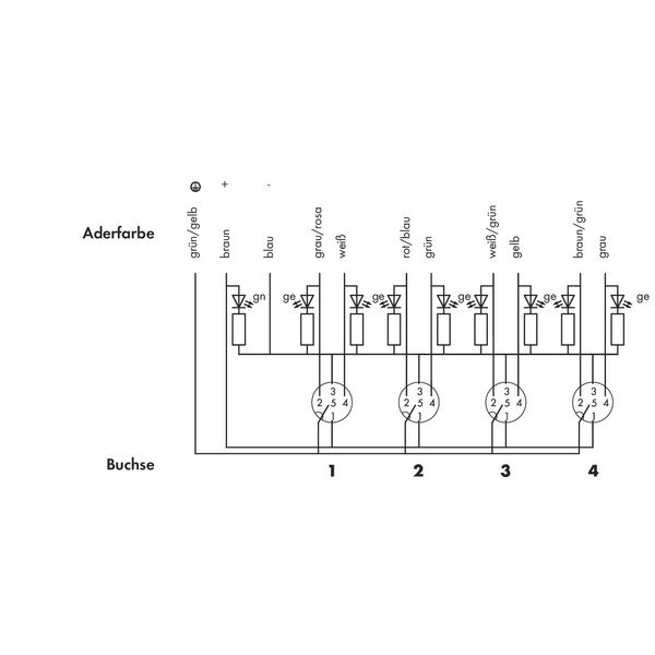 M12 sensor/actuator box 4-way 5-pole image 3