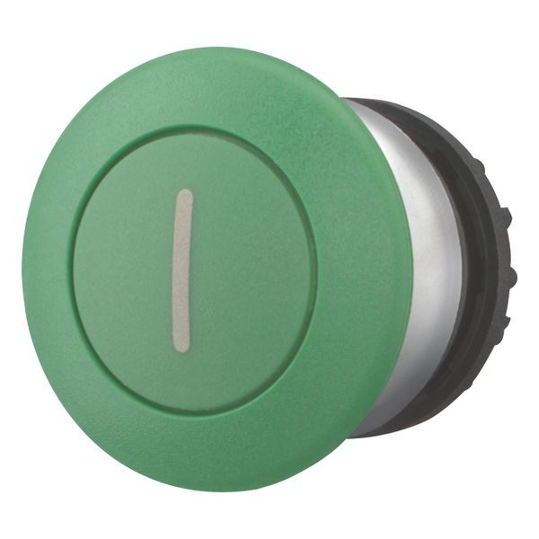 Mushroom actuator, RMQ-Titan, Mushroom, maintained, Mushroom green, green, inscribed, Bezel: titanium image 2