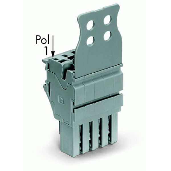 1-conductor female connector Push-in CAGE CLAMP® 4 mm² gray image 2