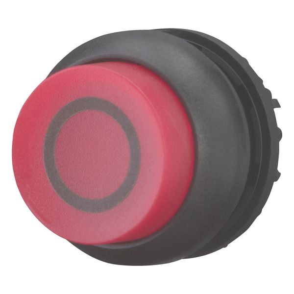 Illuminated pushbutton actuator, RMQ-Titan, Extended, maintained, red, inscribed, Bezel: black image 10