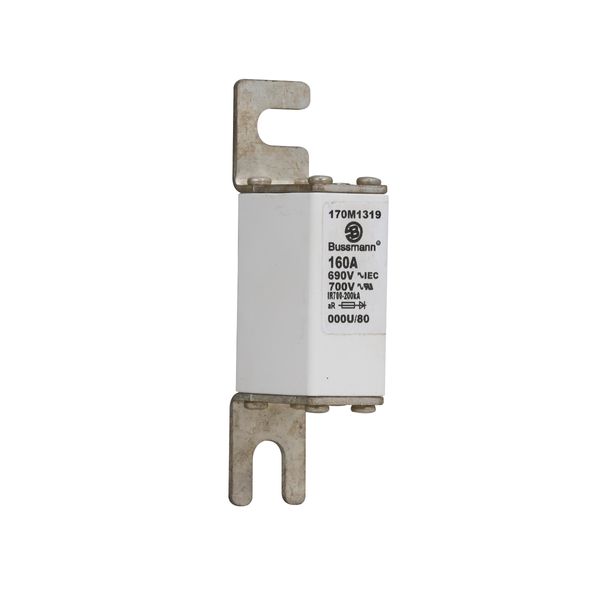 Fuse-link, high speed, 160 A, AC 690 V, DIN 000, 21 x 40 x 100 mm, aR, DIN, IEC image 14