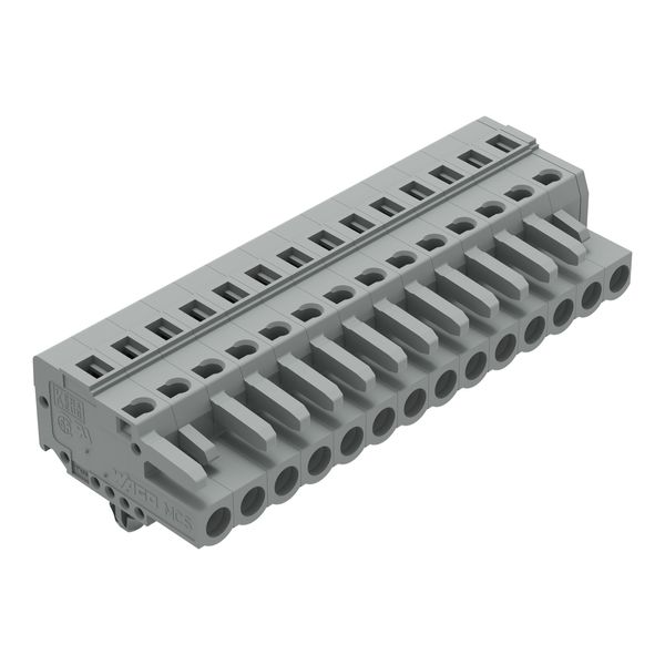 1-conductor female connector CAGE CLAMP® 2.5 mm² gray image 1