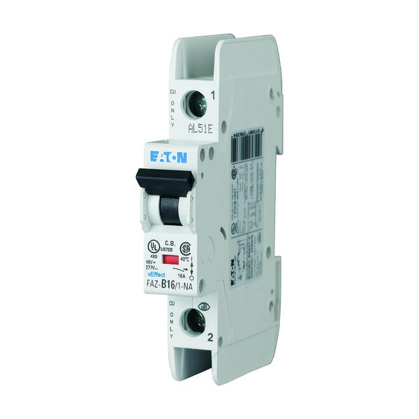 Miniature circuit breaker (MCB), 50 A, 1p, characteristic: C, NA image 6