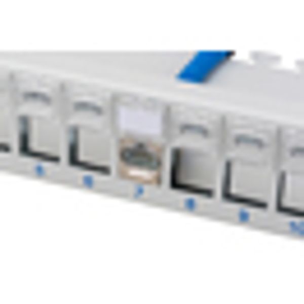 Patchpanel 19" for 24 modules (SFA)(SFB), labeling fields image 13