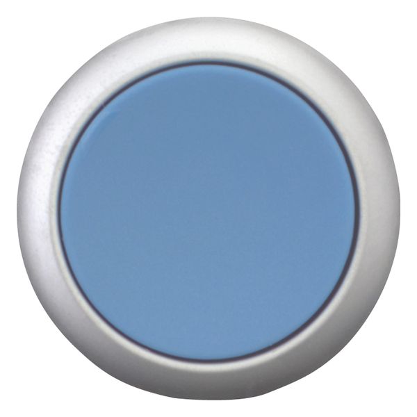 Release pushbutton, blue, Bezel: titanium image 10