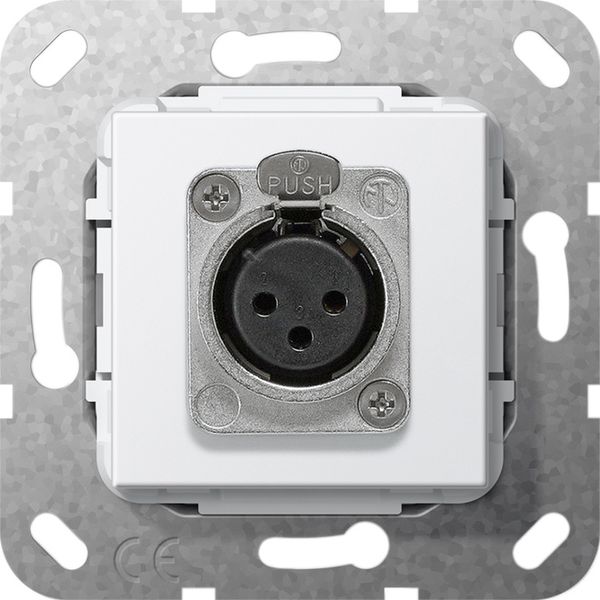 XLR jack D-series Insert p.white image 1