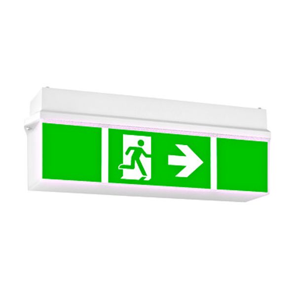 Emergency luminaire KWI 4x1W ERT-LED 230V, ceiling mounting image 1