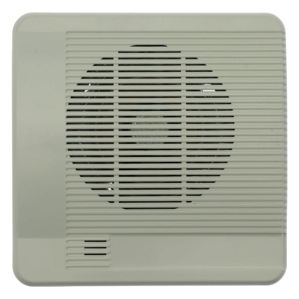 QXED SPEAKER image 3