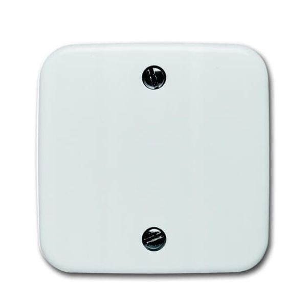 1796-214 CoverPlates (partly incl. Insert) carat® Alpine white image 2
