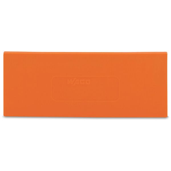 Separator plate 2 mm thick oversized orange image 2