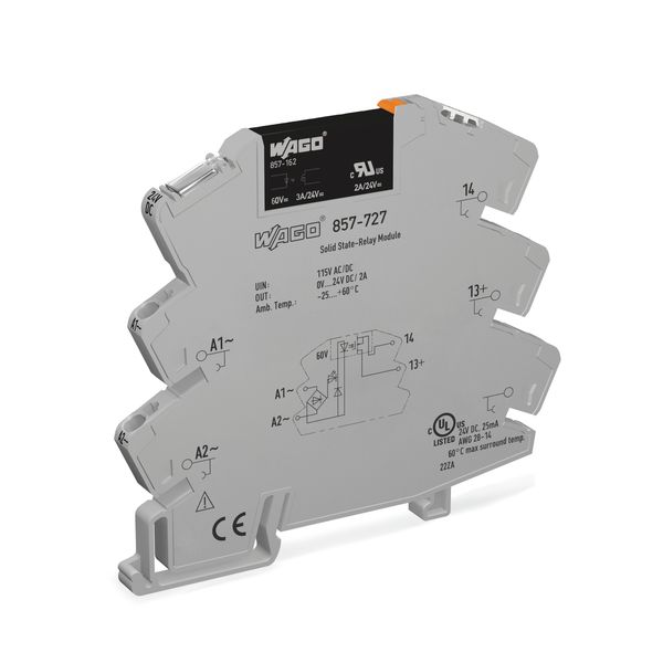 Solid-state relay module Nominal input voltage: 115 V AC/DC Output vol image 1