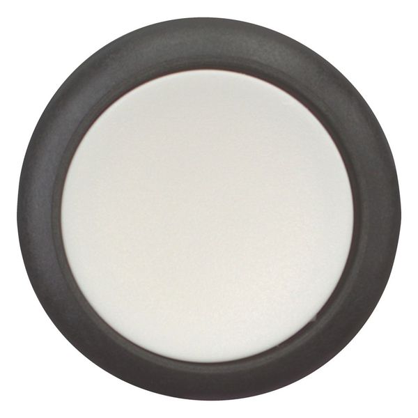 Pushbutton, Flat, maintained, 1 N/O, Screw connection, White, Blank, Bezel: black image 3