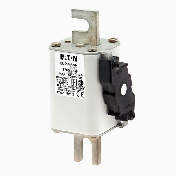 Fuse-link, high speed, 250 A, AC 690 V, DIN 1, 53 x 69 x 138 mm, aR, DIN, IEC, single indicator image 3