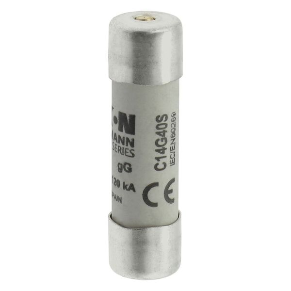 Fuse-link, LV, 40 A, AC 500 V, 14 x 51 mm, gL/gG, IEC, with striker image 19