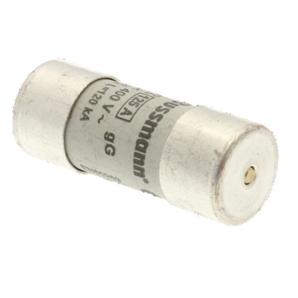 Fuse-link, LV, 125 A, AC 400 V, 22 x 58 mm, gL/gG, IEC, with striker image 4