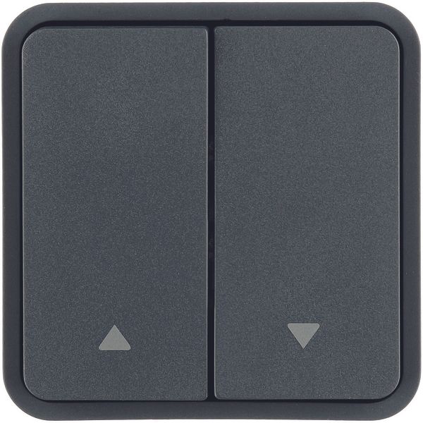 Rocker 2gang for push-button BCU, imprint 2 arrows right/left, grey image 1