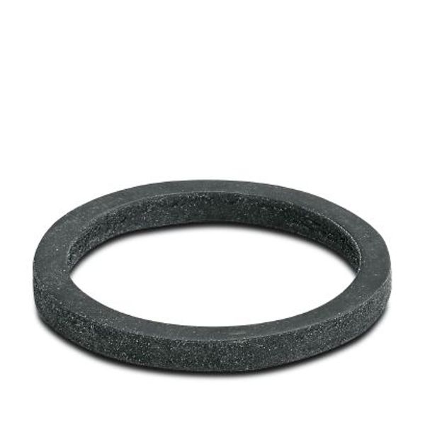 Flat gasket image 2