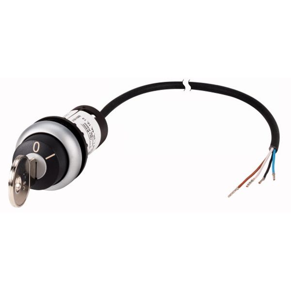 Key-operated actuator, RMQ compact solution, maintained, 1 NC, Cable (black) with non-terminated end, 4 pole, 3.5 m, 2 positions, MS1, Bezel: titanium image 1