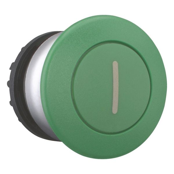 Mushroom actuator, RMQ-Titan, Mushroom, momentary, Mushroom green, green, inscribed, Bezel: titanium image 7