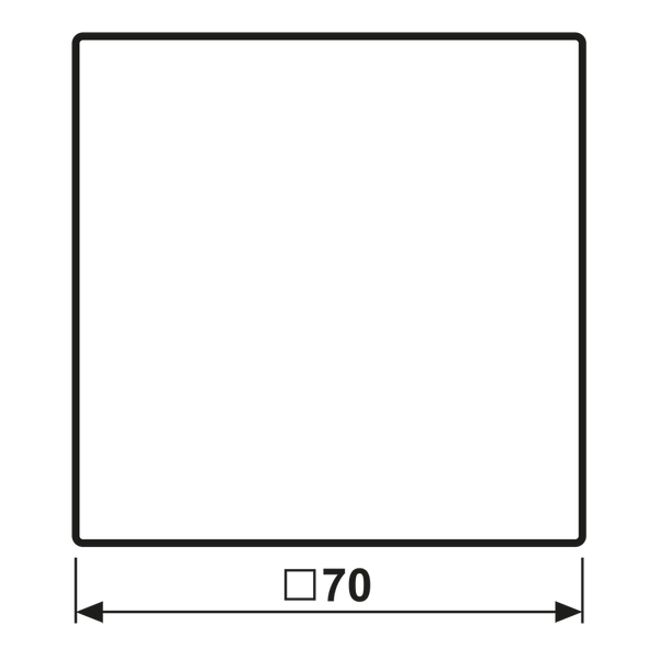 Centre plate for push button Centre plate for dimmer image 6