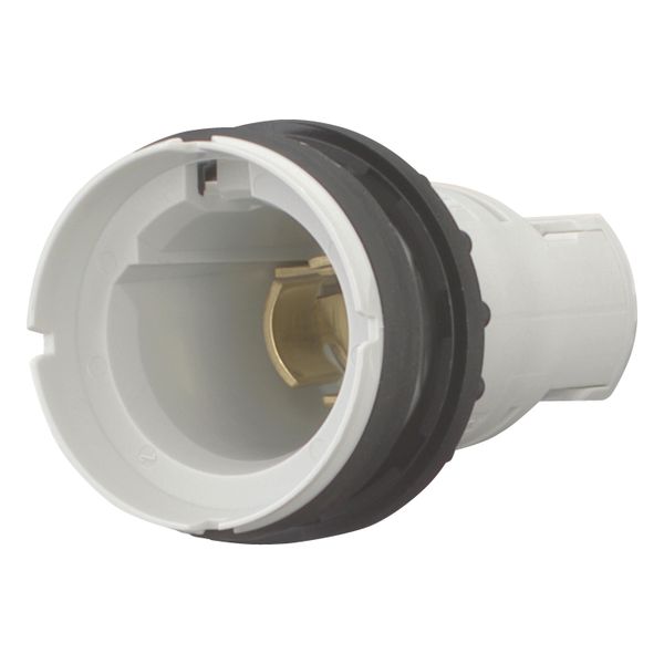 Indicator light, RMQ-Titan, Flush, without light elements, For filament bulbs, neon bulbs and LEDs up to 2.4 W, with BA 9s lamp socket, Without lens image 4