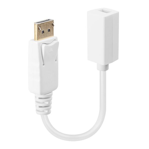 DisplayPort Male to Mini DisplayPort Female Adapter Cable Easily connect a DisplayPort device to a Mini DisplayPort connector! image 1