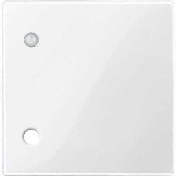 Central plate for pull button, polar white glossy, system M image 1