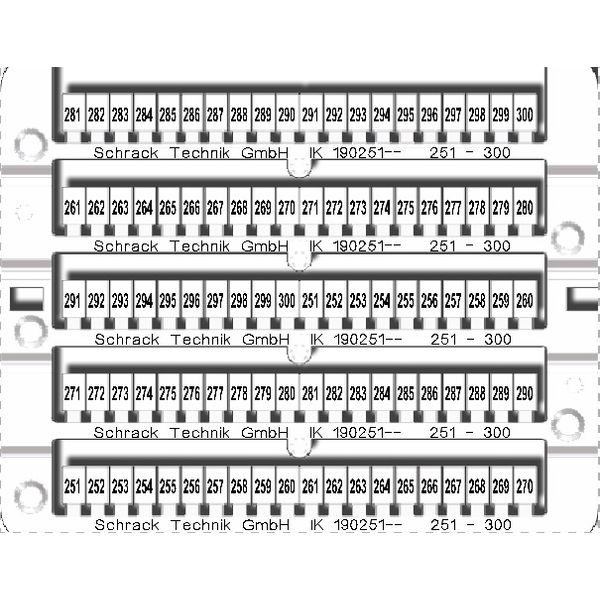 Marking tags 251-300 (each 2x) image 1