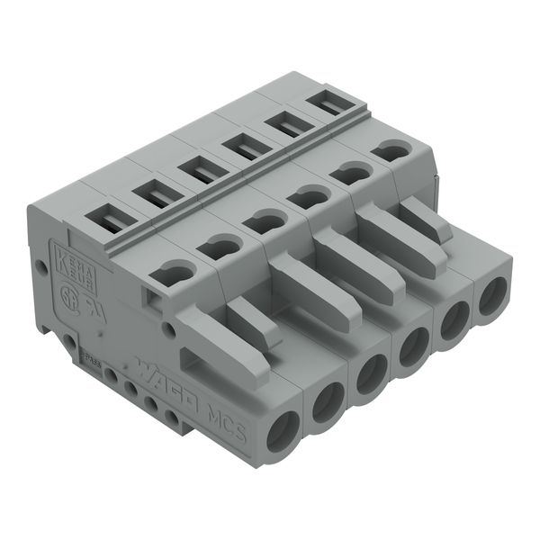 1-conductor female connector CAGE CLAMP® 2.5 mm² gray image 1