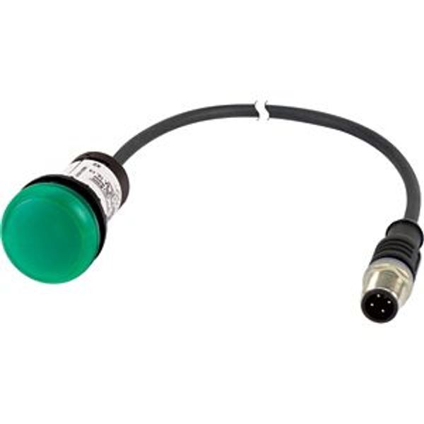 Indicator light, Flat, Cable (black) with M12A plug, 4 pole, 0.2 m, Lens green, LED green, 24 V AC/DC image 2