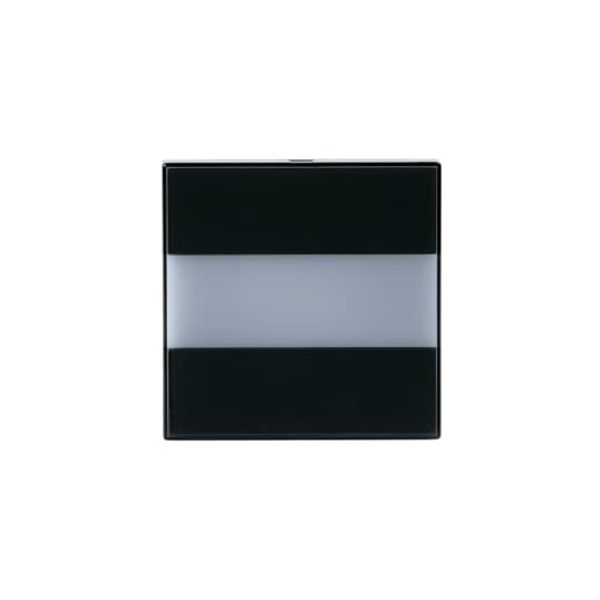 V-81 Center plate Signalling Central cover plate Anthracite - Impressivo image 1