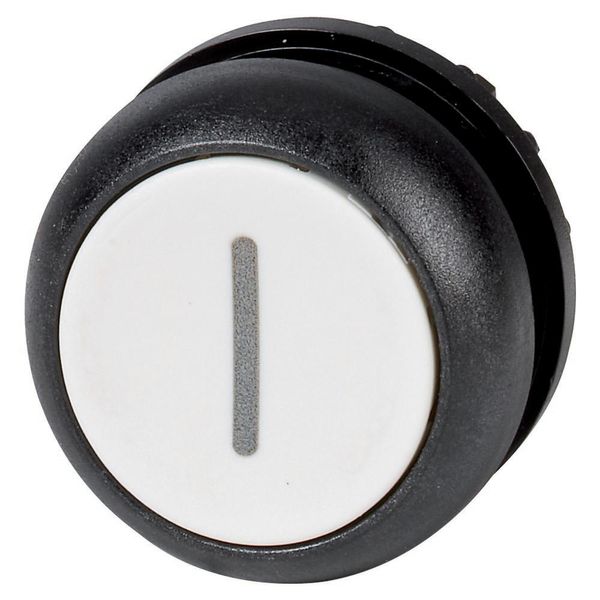 Pushbutton, RMQ-Titan, Flat, maintained, White, inscribed, Bezel: black image 4