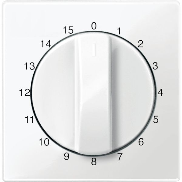 Central plate for time switch insert, 15 min, polar white, glossy, System M image 1