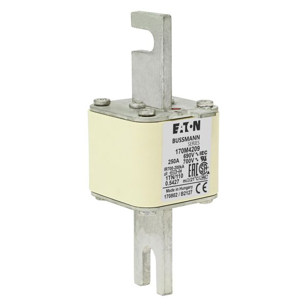 Fuse-link, high speed, 250 A, AC 690 V, DIN 1, 53 x 66 x 138 mm, aR, DIN, IEC, type T indicator image 10