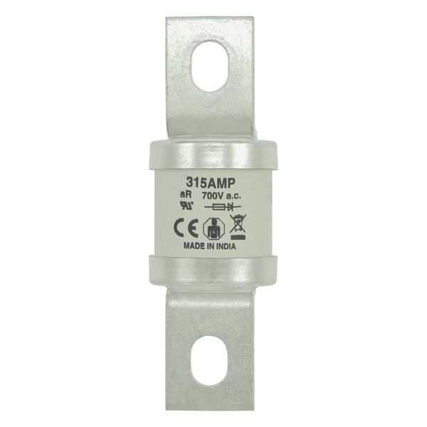 5.5KV 125E BHLE FUSE image 12