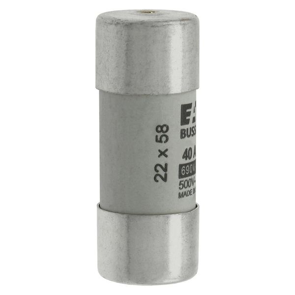 Fuse-link, LV, 40 A, AC 690 V, 22 x 58 mm, gL/gG, IEC, with striker image 18