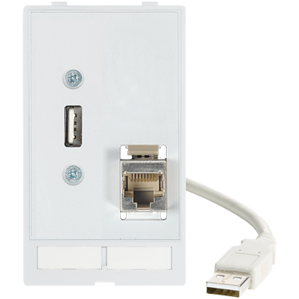 MODLINK MSDD DATA  INSERT 1×USB-A female/male 0,7m cable + 1xRJ45 image 1