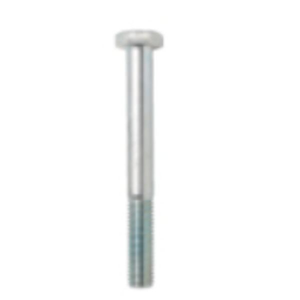 ZX769P10 ZX769P10   Hex. Screw M12x65mm gal., 12 mm x 12 mm x 65 mm image 1