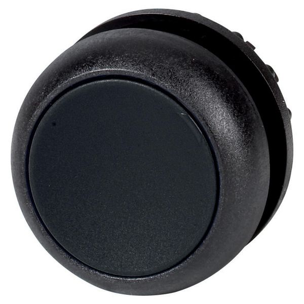 Pushbutton, RMQ-Titan, Flat, momentary, black, Blank, Bezel: black image 4