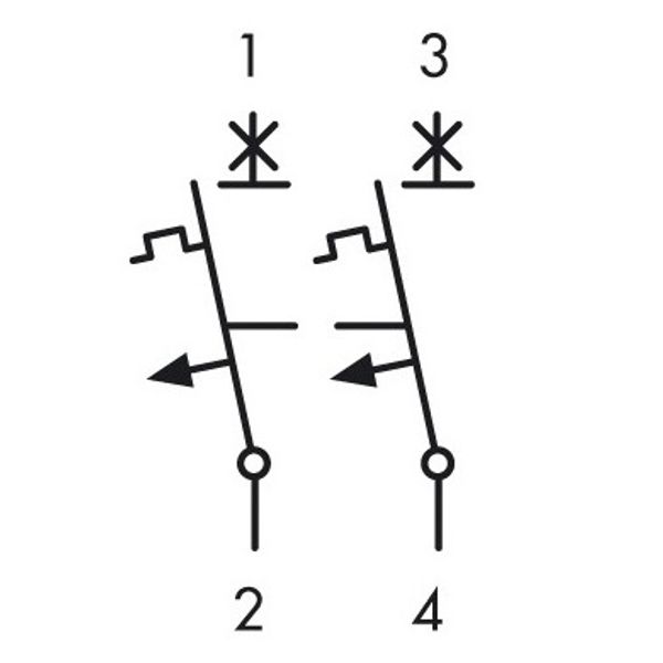 Miniature Circuit Breaker (MCB) AMPARO 10kA, B 63A, 2-pole image 7