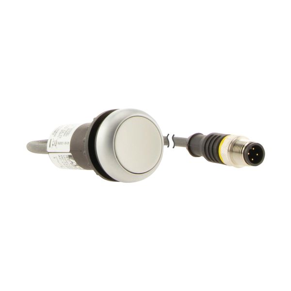 Pushbutton, Flat, momentary, 1 N/O, Cable (black) with M12A plug, 4 pole, 1 m, White, Blank, Bezel: titanium image 11