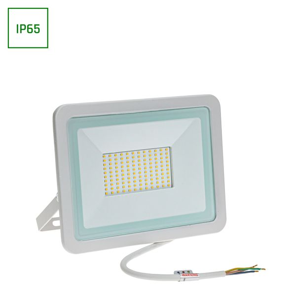 NOCTIS LUX 2 SMD 230V 100W IP65 CW white image 1