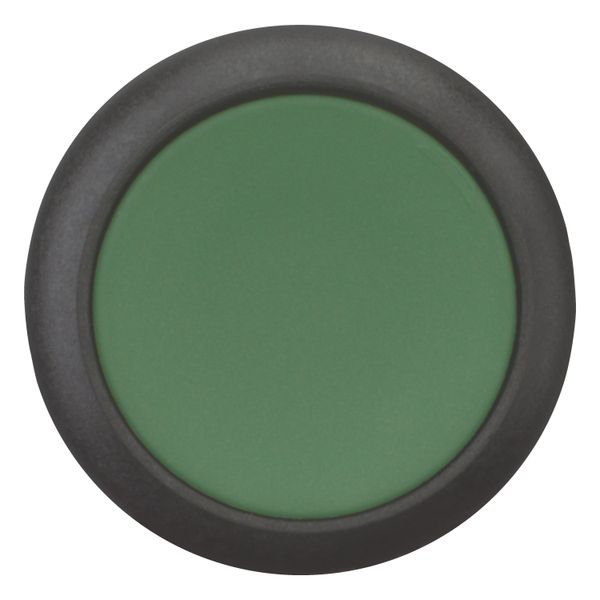 Pushbutton, Flat, maintained, 1 NC, 1 N/O, Screw connection, green, Blank, Bezel: black image 4