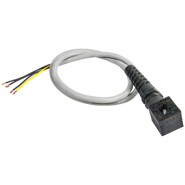 Connection cable EAM4/EAM4.L image 1