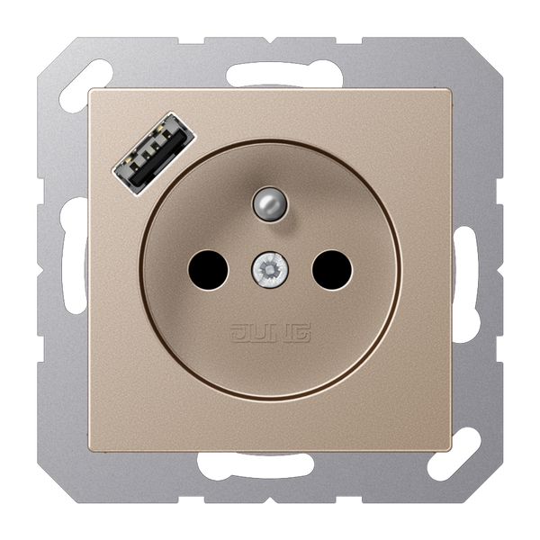 SCHUKO socket with USB type AC A1520F-18ACH image 1