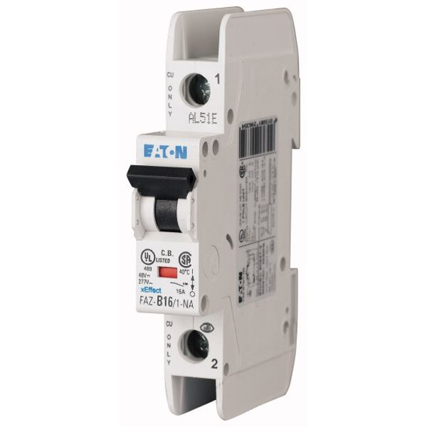 Miniature circuit breaker (MCB), 50 A, 1p, characteristic: B, NA image 1